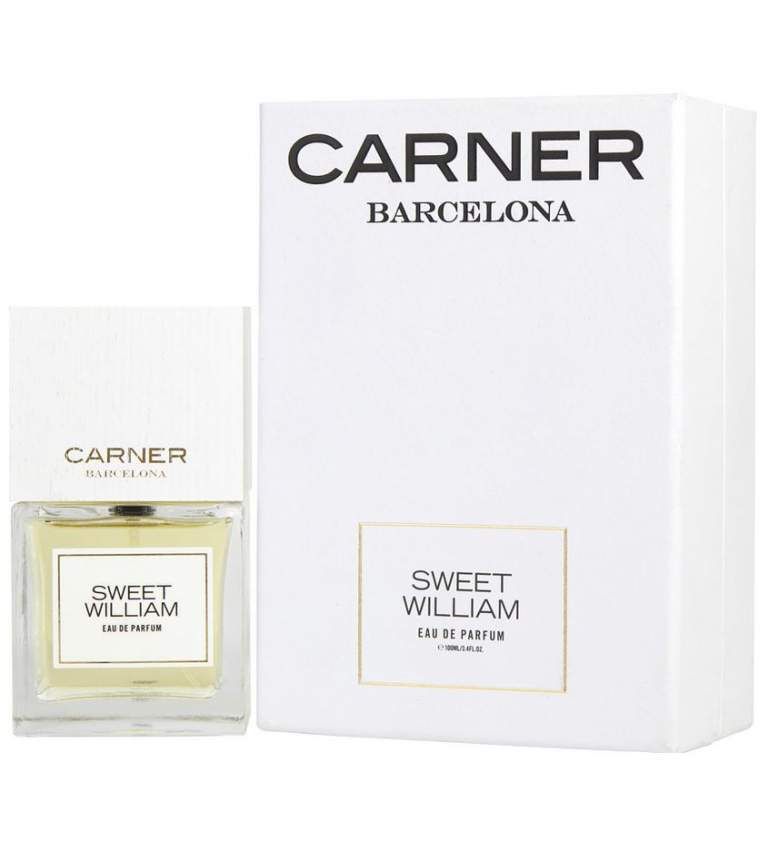 Carner Barcelona Sweet William