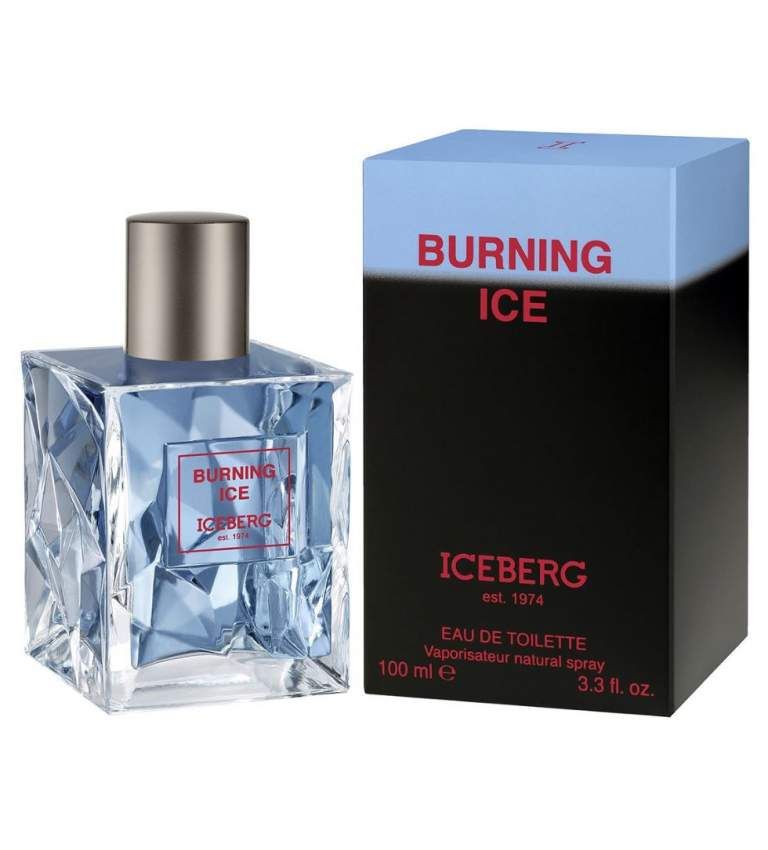 Iceberg Burning Ice
