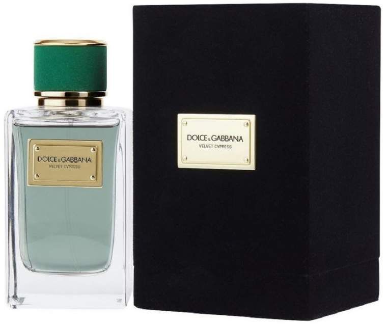 Dolce&Gabbana Velvet Cypress