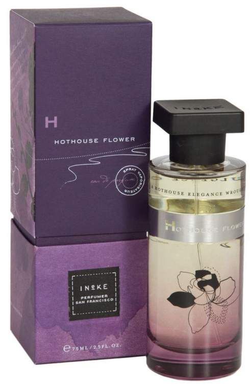 Ineke Hothouse Flower