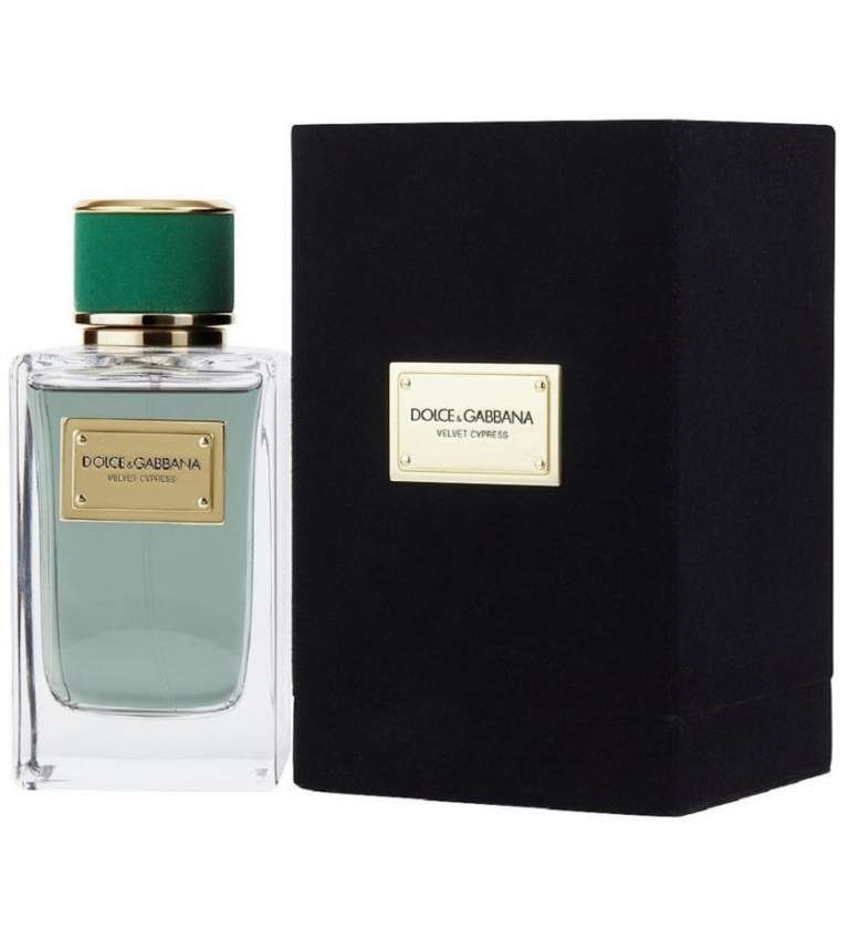 Dolce&Gabbana Velvet Cypress