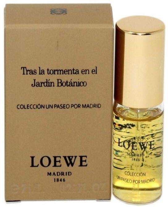 Loewe Tras la tormenta en el Jardin Botanico