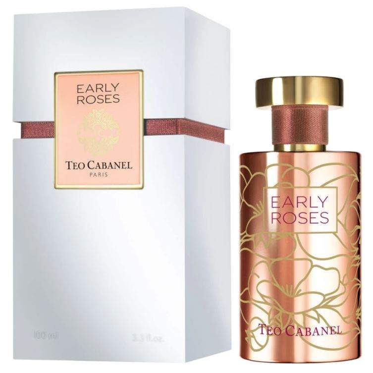 Teo Cabanel Early Roses