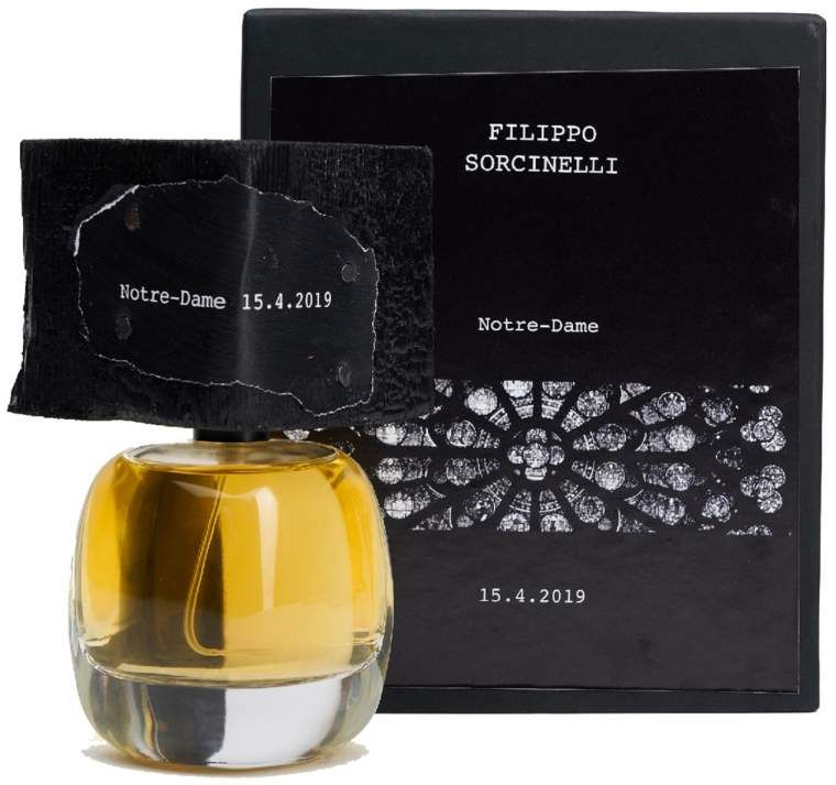 Filippo Sorcinelli Notre Dame 15.4.2019