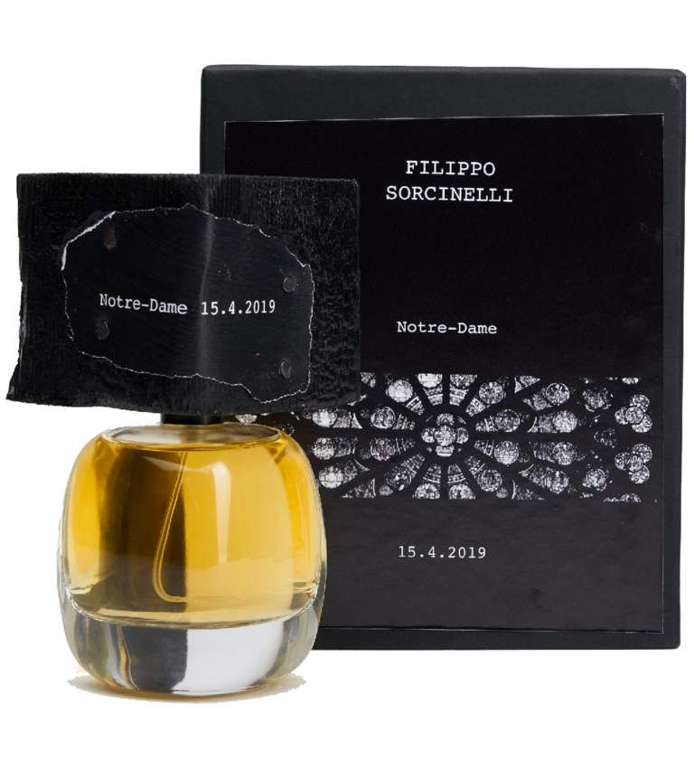 Filippo Sorcinelli Notre Dame 15.4.2019