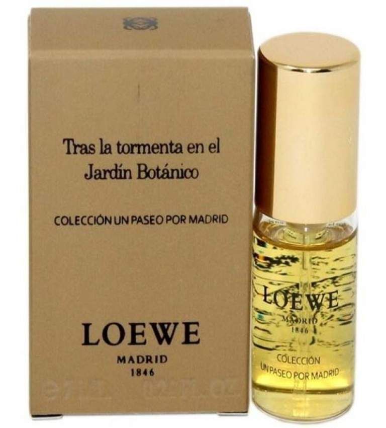Loewe Tras la tormenta en el Jardin Botanico