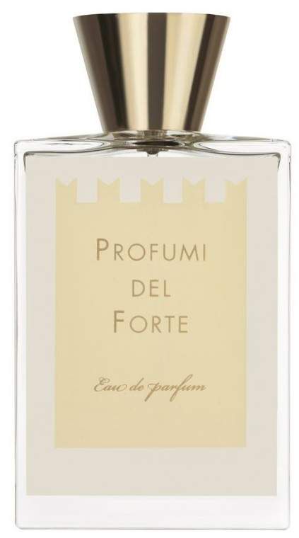 Profumi del Forte Versilia Vintage Ambra Mediterranea