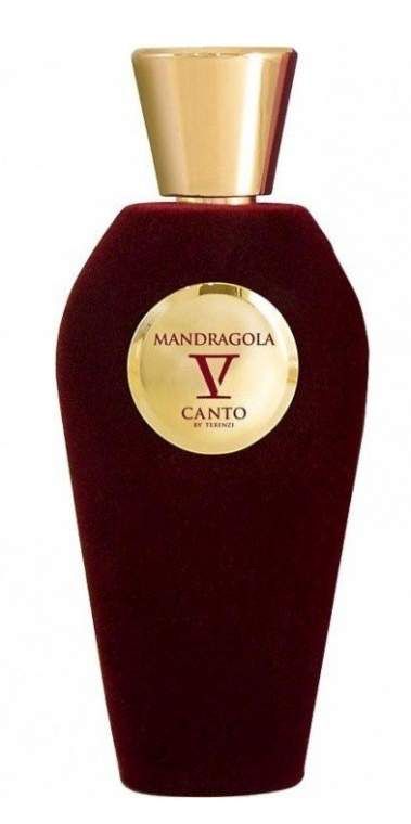 V Canto Mandragola