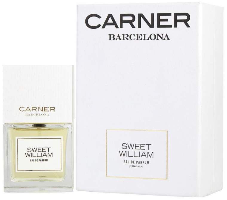 Carner Barcelona Sweet William